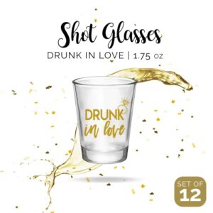 Drunk In Love and Just Drunk Bachelorette Party Shot Glasses, Set of 12, 11 Pink Just Drunk and 1 Gold Drunk In Love Shot Glass, Perfect Bachelorette Party Decorations and Brides Maid Gifts