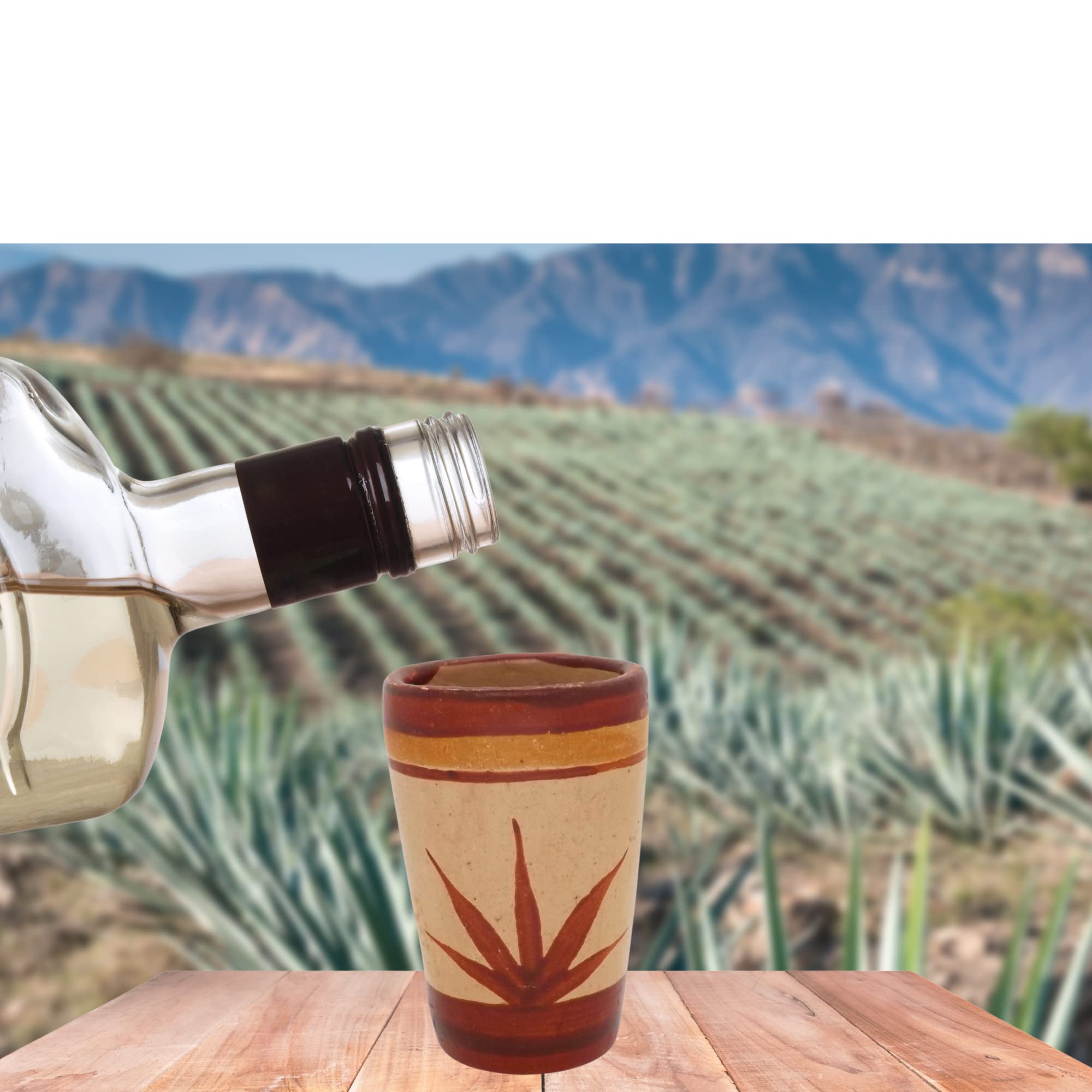 MEXTEQUIL - Tequila Shot Glasses - Set of 4 Terracotta Mexican Shot Glasses - 2 Oz - Natural & Colorful Clay - Barro Canelo & Capulineado - Handcrafted Hand-painted (Agave)