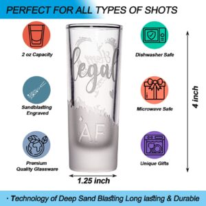 21st Birthday Shot Glass, 2 Oz 2-Sided Finally Legal 2002 Happy 21st Shot Glass for a Birthday Present or 21st Birthday Party, Funny 21st Birthday Gifts for Him or Her Celebrating 21 (1 Pack)