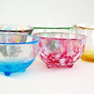 Tsugaru Biidoro Mini Glass Set Glass Five Different by Aderia