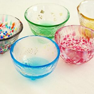 Tsugaru Biidoro Mini Glass Set Glass Five Different by Aderia