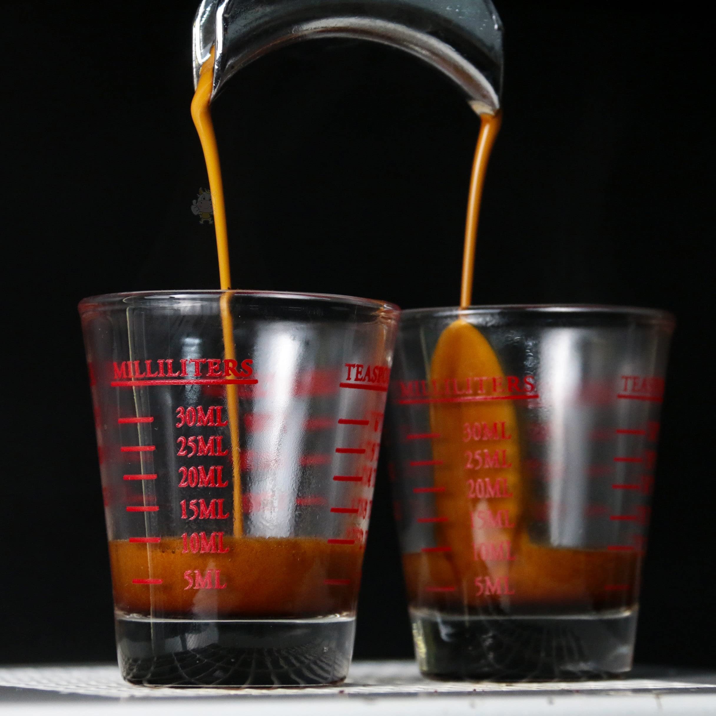 Shot Glasses Measuring cup Espresso Shot Glass Liquid Heavy Glass Wine Glass 2 Pack 26-Incremental Measurement 1oz, 6 Tsp, 2 Tbs, 30ml by TIYOORTA (2 pack red)
