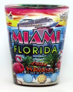 miami florida scene in-and-out shot glass