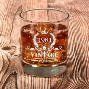 Triwol 1981 43rd Birthday Gifts for Men, Vintage Whiskey Glass 43 Birthday Gifts for Dad, Son, Husband, Brother, Funny 43rd Birthday Gifts Present Ideas for Him, 43 Year Old Bday Party Decoration