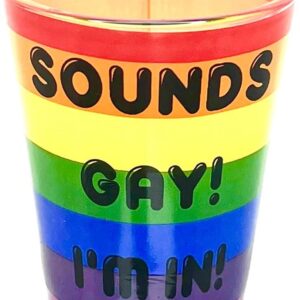 Black Ball Corp. Sounds Gay I'm In - 2oz Novelty Shot Glass - 2 Piece Set