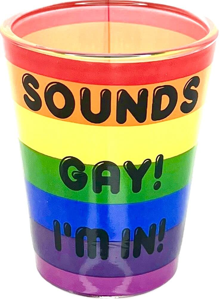 Black Ball Corp. Sounds Gay I'm In - 2oz Novelty Shot Glass - 2 Piece Set