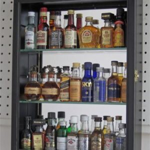 DisplayGifts Souvenir Shot Glass Display Case Shadow Box Wall Mounted Cabinet Mirror Background Black