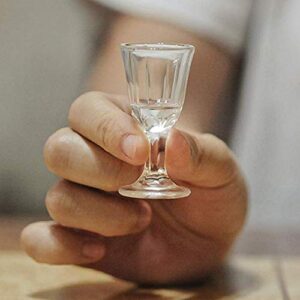 REATR 0.4oz 10ml Unique Mini Wine Shot Glasses Set of 6 (only 12 ml)