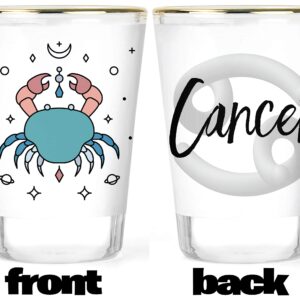 Zodiac Shot Glasses - Aquarius Shot Glass - Aries Shot Glass - Cancer Shot Glass - Capricorn Shot Glass - Gemini Shot Glass - Leo Shot Glass