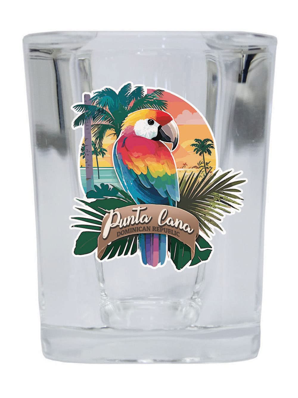 R and R Imports Punta Cana Dominican Republic Souvenir 2.5 Ounce Shot Glass Square PARROT1