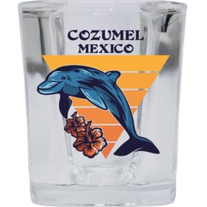 R and R Imports Cozumel Mexico Beach Souvenir 2 oz Square Base Shot Glass Dolphin Design Single