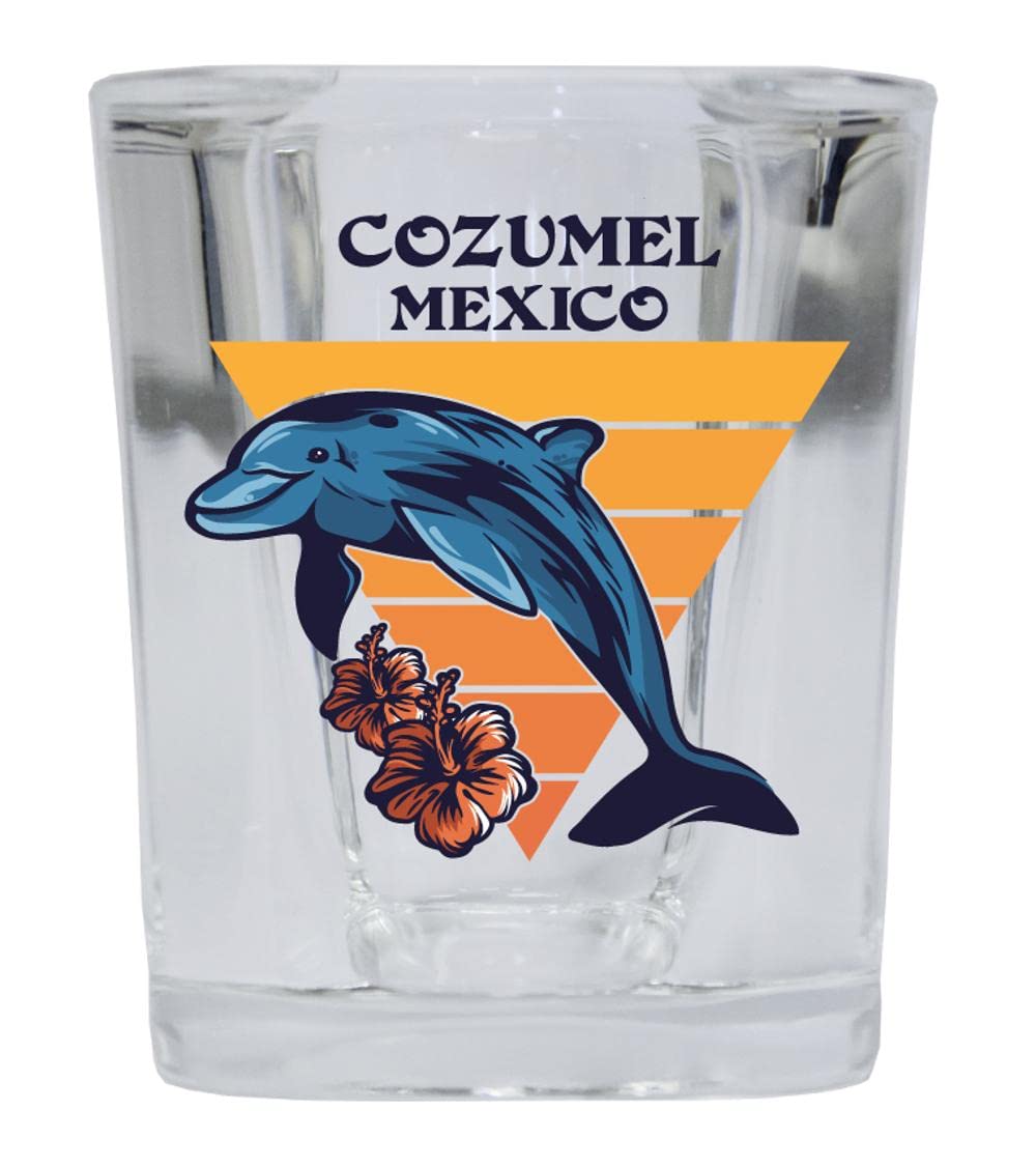 R and R Imports Cozumel Mexico Beach Souvenir 2 oz Square Base Shot Glass Dolphin Design Single