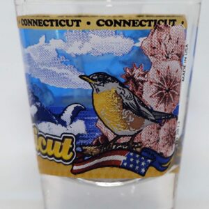 Connecticut State Wraparound Shot Glass