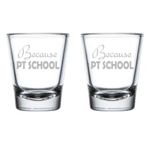 mip brand set of 2 shot glasses 1.75oz shot glass because pt school physical therapist funny student