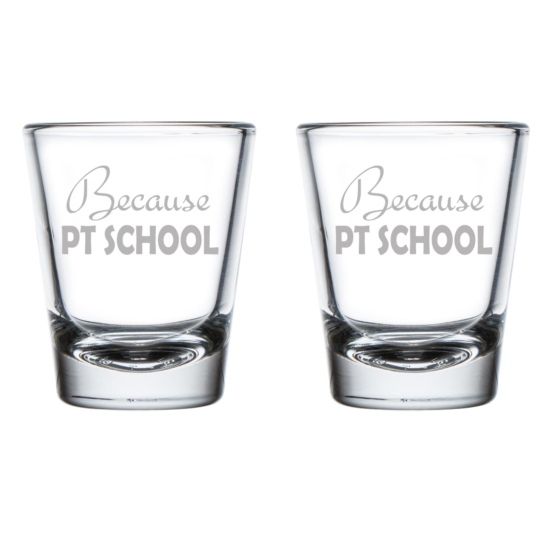 MIP Brand Set of 2 Shot Glasses 1.75oz Shot Glass Because PT School Physical Therapist Funny Student