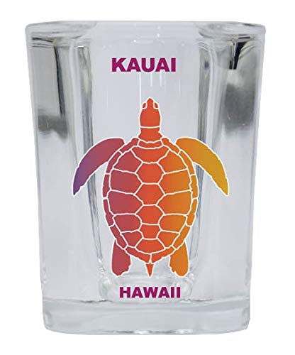 Kauai Hawaii Souvenir Rainbow Turtle Design Square Shot Glass