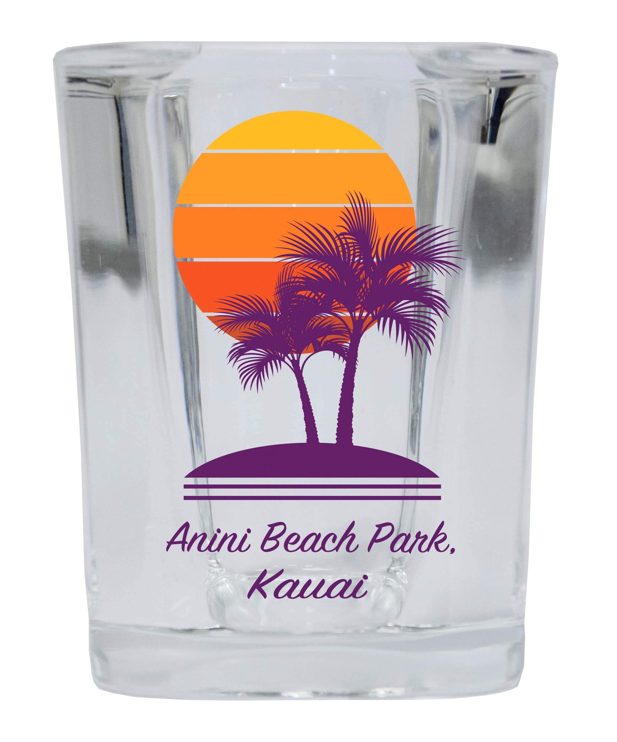 R and R Imports Anini Beach Park Kauai Souvenir 2 Ounce Square Shot Glass Palm Design