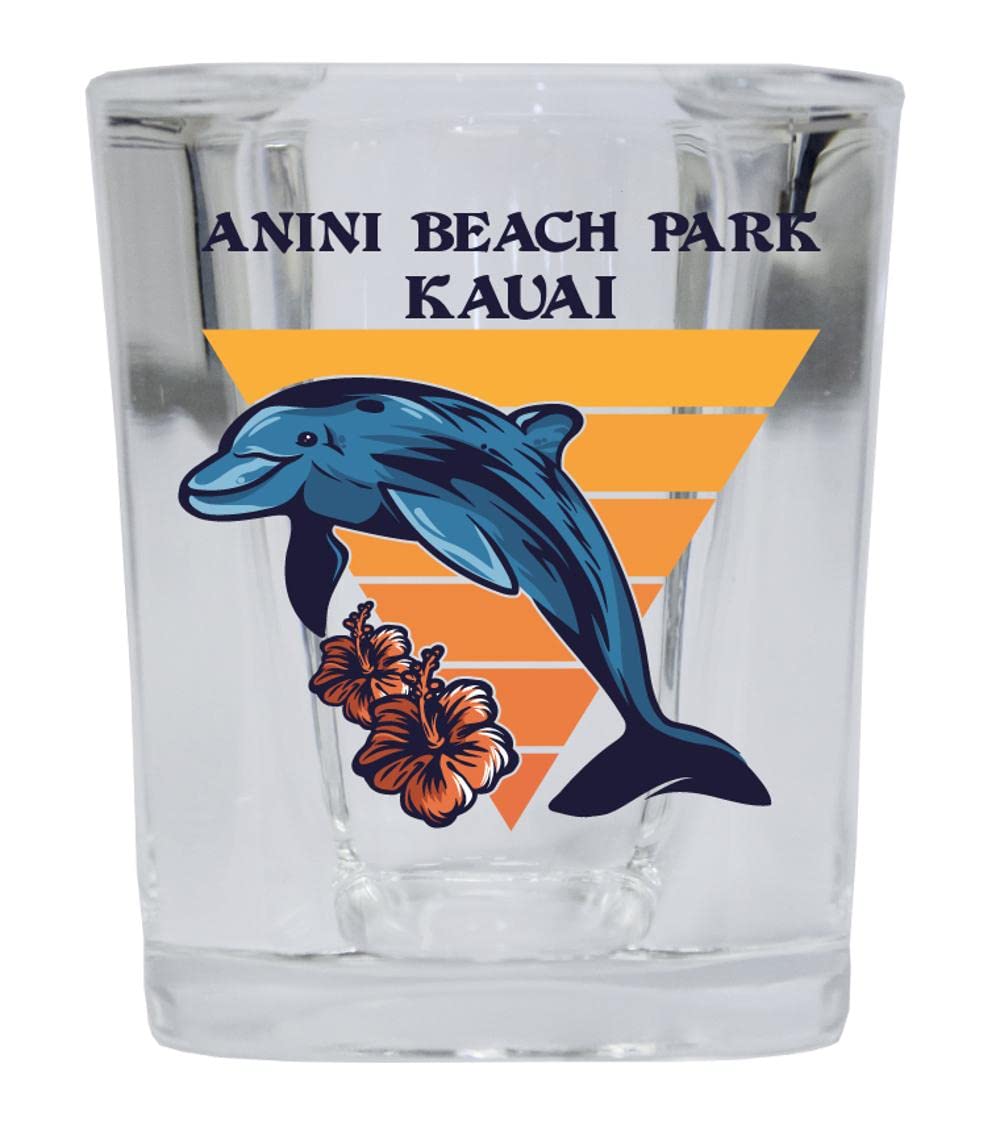 R and R Imports Anini Beach Park Kauai Beach Souvenir 2 oz Square Base Shot Glass Dolphin Design 2-Pack