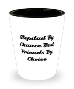 stepdad by chance best friends by choice shot glass, stepdad ceramic cup, useful for stepdad