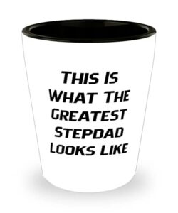 reusable stepdad, this is what the greatest stepdad looks like, funny shot glass for dad from son