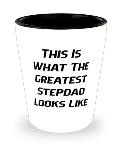 Reusable Stepdad, This Is What The Greatest Stepdad Looks Like, Funny Shot Glass For Dad From Son