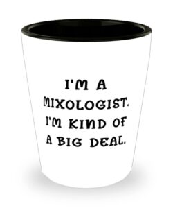 i'm a mixologist. i'm kind of a big deal. mixologist shot glass, perfect mixologist, ceramic cup for coworkers