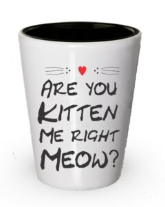 kitten shot glass - are you kitten me right meow?
