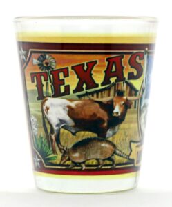 texas state mural shot glass