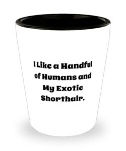 i like a handful of humans and my exotic shorthair. shot glass, exotic shorthair cat ceramic cup, unique for exotic shorthair cat