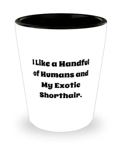 I Like a Handful of Humans and My Exotic Shorthair. Shot Glass, Exotic Shorthair Cat Ceramic Cup, Unique For Exotic Shorthair Cat