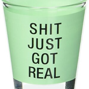 About Face Products SHIT JUST GOT REAL SHOT GLASS, Standard, Clear