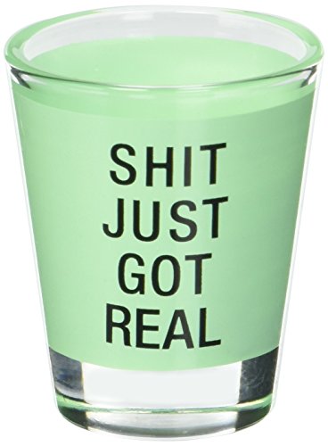 About Face Products SHIT JUST GOT REAL SHOT GLASS, Standard, Clear