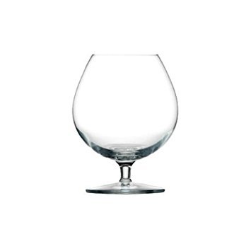 METERO VERSAINSECT lano 19 Ounce Brandy/Cognac Snifter, Set of 6