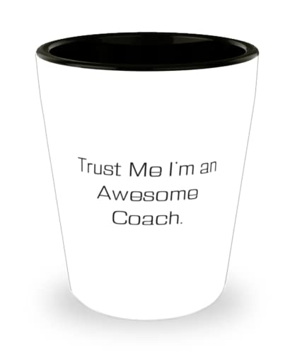 Coach For Colleagues, Trust Me I'm an Awesome Coach, New Coach Shot Glass, Ceramic Cup From Friends