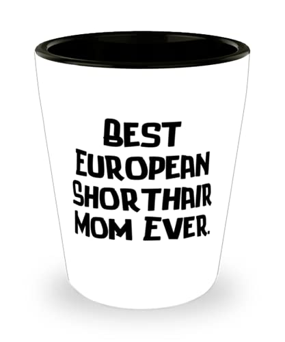 European Shorthair Cat, Best European Shorthair Mom Ever, Shot Glass For Cat Lovers From Friends