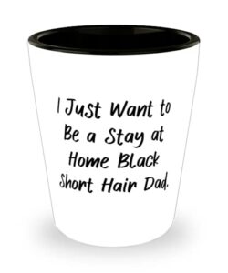 brilliant black short hair cat, i just want to be a stay at home black short hair dad, birthday shot glass for black short hair cat