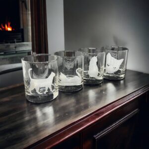 Brindle Southern Farms Cute Cats Being Cats Rocks Glasses: 4 Engraved 10oz. Rocks Drinking Glasses: cat lover, cat decor, cat mom