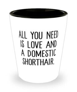 unique idea domestic shorthair cat shot glass, all you need is love and a domestic shorthair., brilliant for friends, birthday