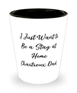 i just want to be a stay at home chartreux dad. shot glass, chartreux cat ceramic cup, sarcasm for chartreux cat