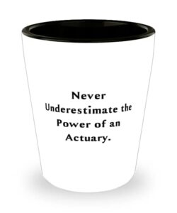 beautiful actuary, never underestimate the power of an actuary, sarcastic shot glass for friends from team leader