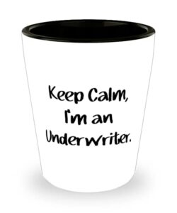 keep calm, i'm an underwriter. underwriter shot glass, sarcastic underwriter, ceramic cup for friends