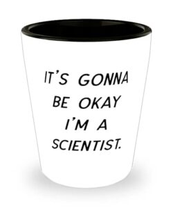 it's gonna be okay i'm a scientist. shot glass, scientist ceramic cup, beautiful for scientist