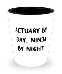 funny actuary shot glass, actuary by day. ninja by night, for coworkers, present from colleagues, ceramic cup for actuary