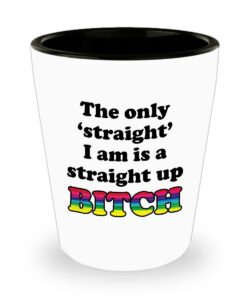 straight up bitch funny gay shot glass gift lgbt sarcastic rainbow pride lesbian resist love wins sarcastic