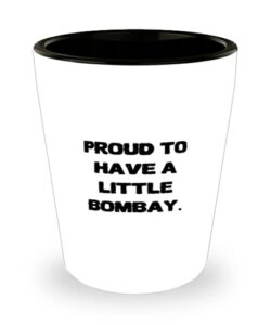inspire bombay cat, proud to have a little bombay, cheap shot glass for cat lovers from friends