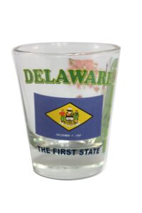souvenir shot glass - delaware
