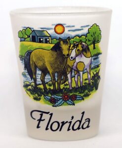 florida horses frosted collector's souvenir shot glass