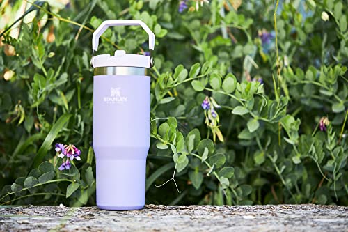 Stanley IceFlow Stainless Steel Tumbler - Vacuum Insulated Water Bottle for Home, Office or Car Reusable Cup with Straw Leak Resistant Flip Cold for 12 Hours or Iced for 2 Days, Lavender, 30OZ