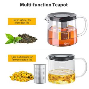 COPOTEA Glass Teapot with Removable Infuser, Tea Pot 1000ml/33OZ Stovetop Safe Tea Kettle for Blooming Tea & Loose Leaf Tea, Premium Tea Maker with Gift Box