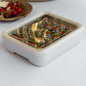 Fancy Panz Deviled Egg Trayz Insert for use with Fancy Panz Classic, Premium & 2in1. Holds 20 eggs